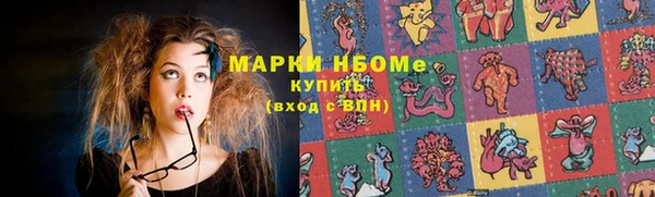 apvp Вяземский